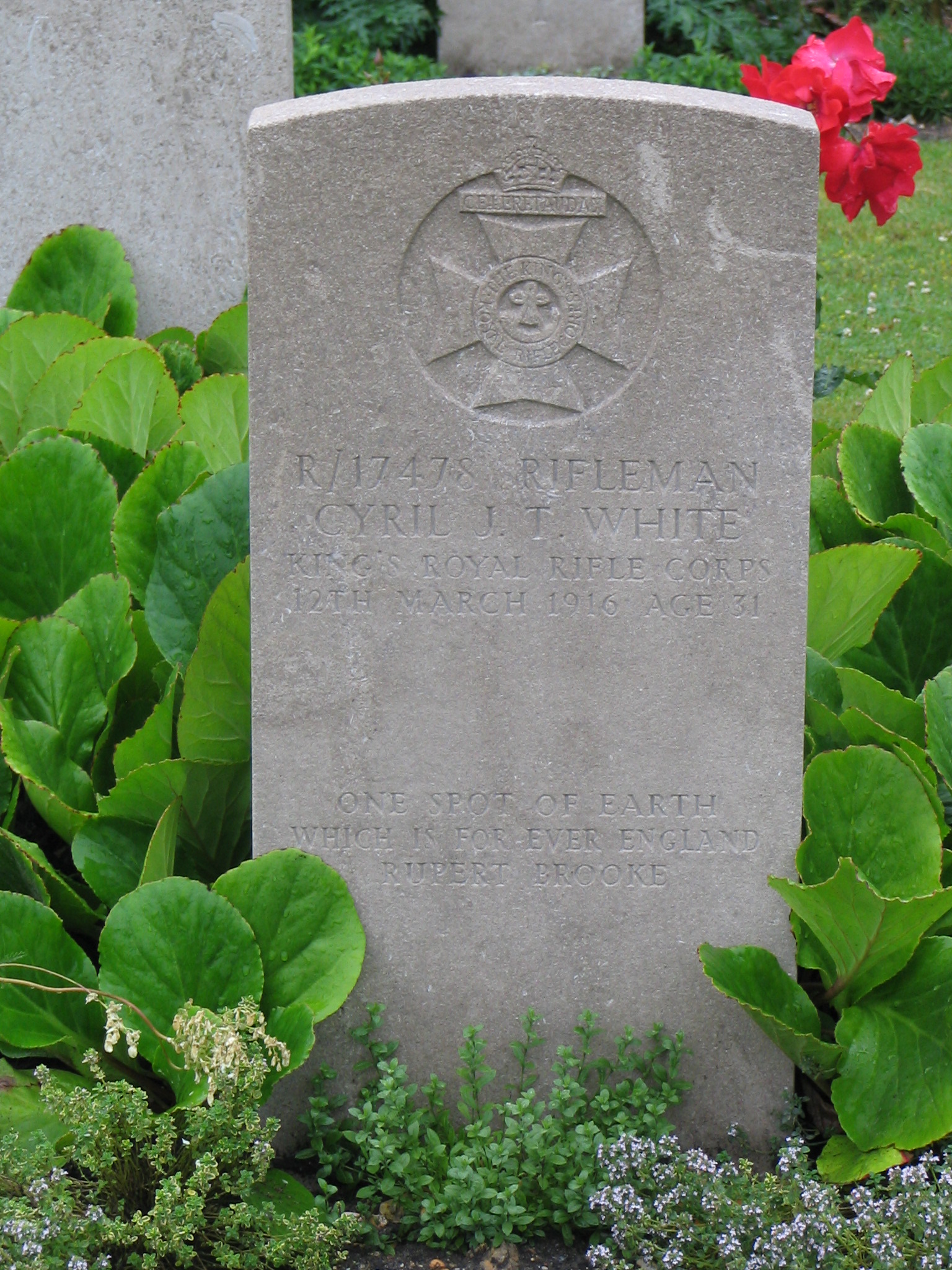 Photo from /search/photos/France/Seine-Maritime/ST. SEVER CEMETERY, ROUEN/White_C.JPG